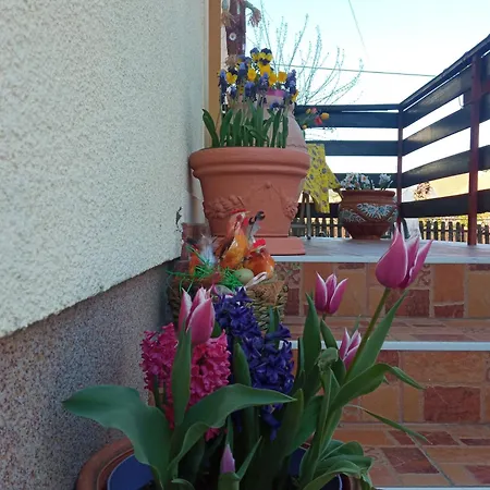 Isidora Gostinjska kuća