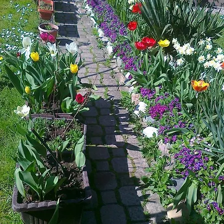 Gostinjska kuća Isidora Arilje